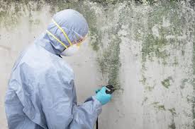 Best Mold Documentation for Insurance Claims  in Cherryvale, KS